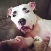 双11值得买的大牌底妆,双11到了抢购东西