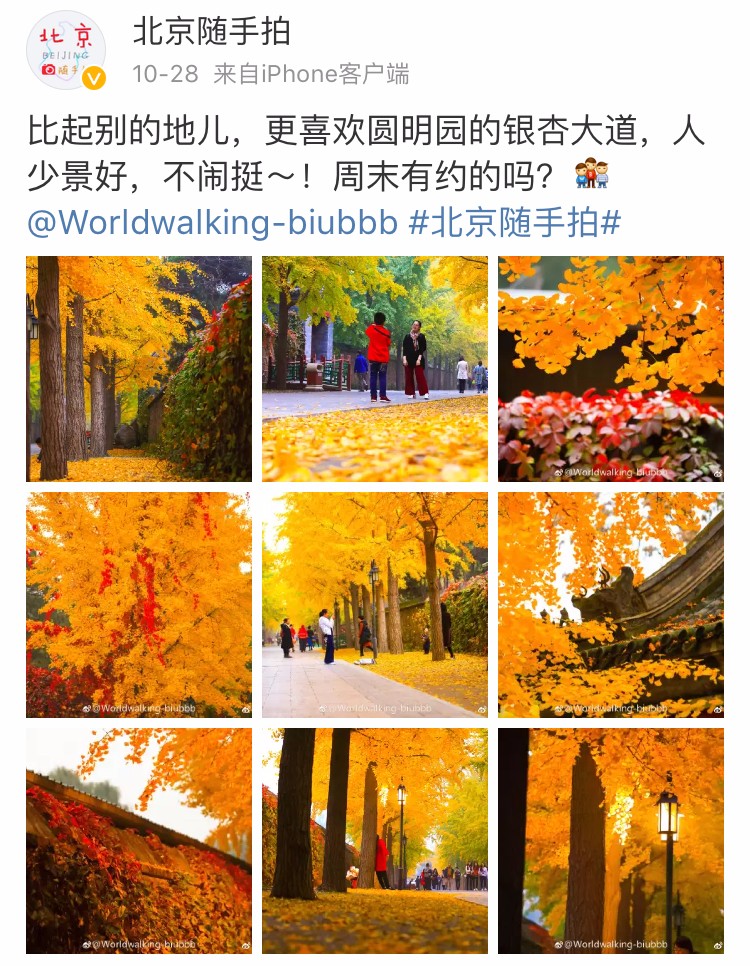 京城赏荷地图高清版,京城赏玉兰最全地图