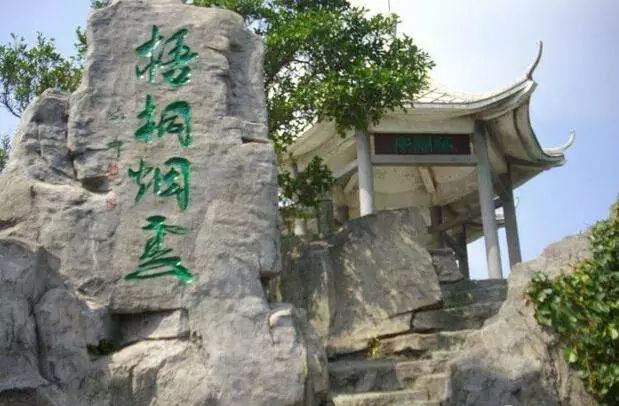 鹏城第一峰梧桐山海拔,鹏城第一峰梧桐山是大梧桐吗