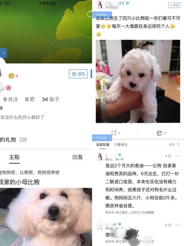 网上买狗狗违法吗,怎么确定网上卖狗的不是骗子