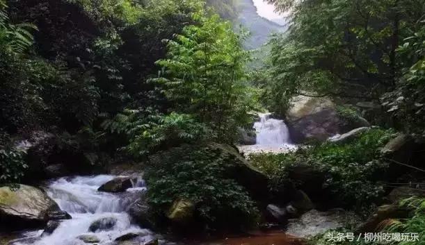 融安有望成为中心城市吗,广西融安县发展规划情况