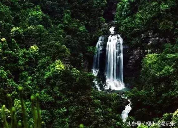 融安有望成为中心城市吗,广西融安县发展规划情况