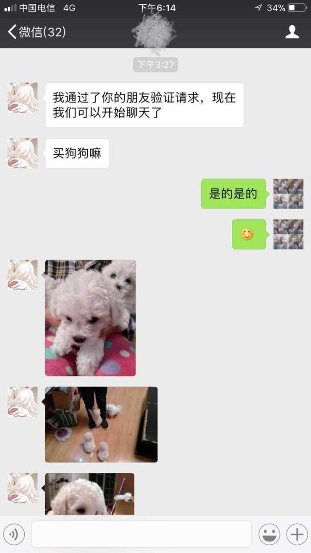 微商卖狗有靠谱的吗,微商卖狗骗局