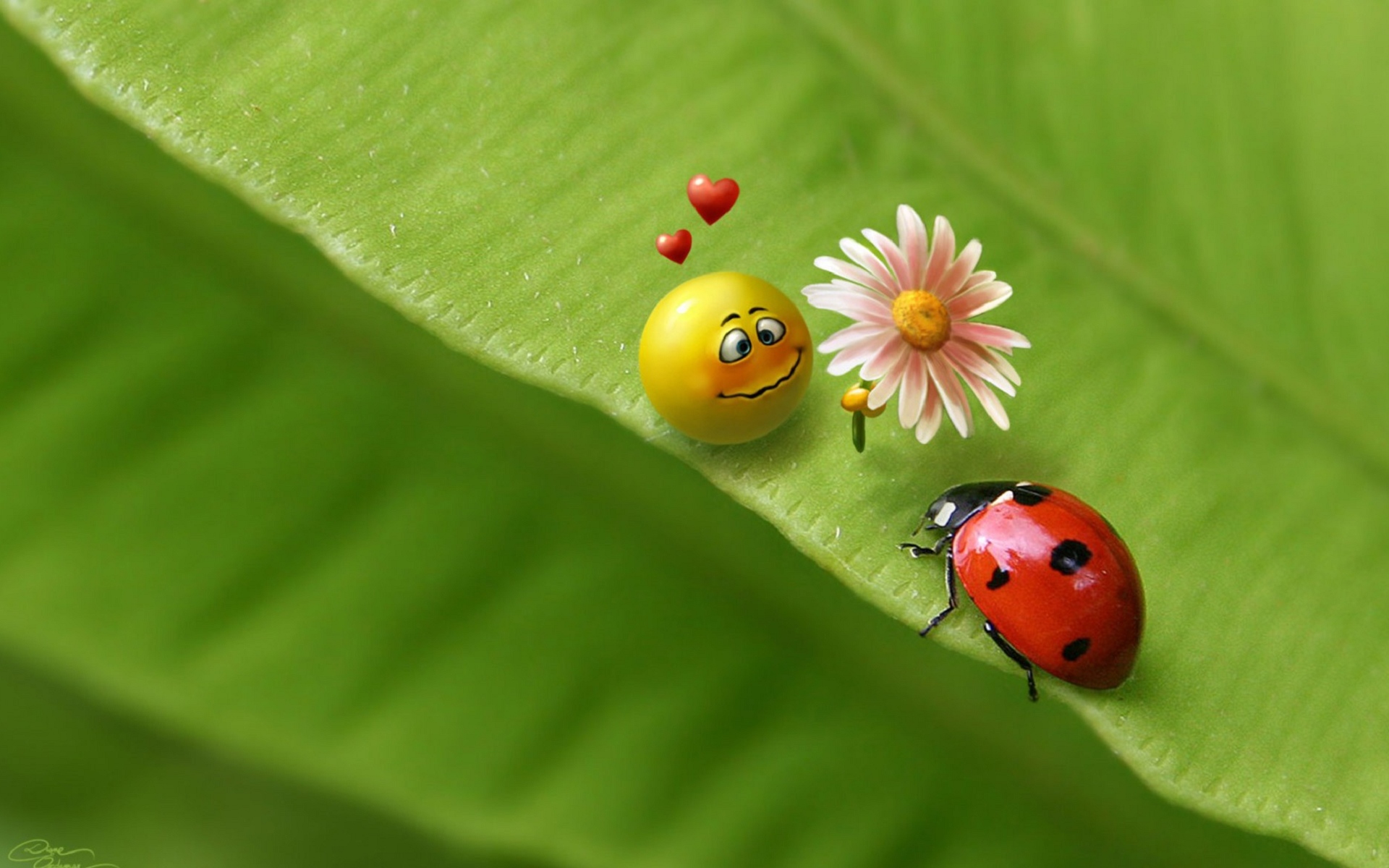 特别酷的3d壁纸桌面,3d立体桌面壁纸大全