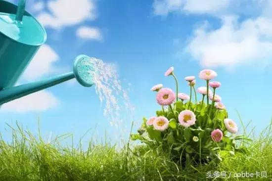 沐浴花洒喷头选购指南,花洒选购指南