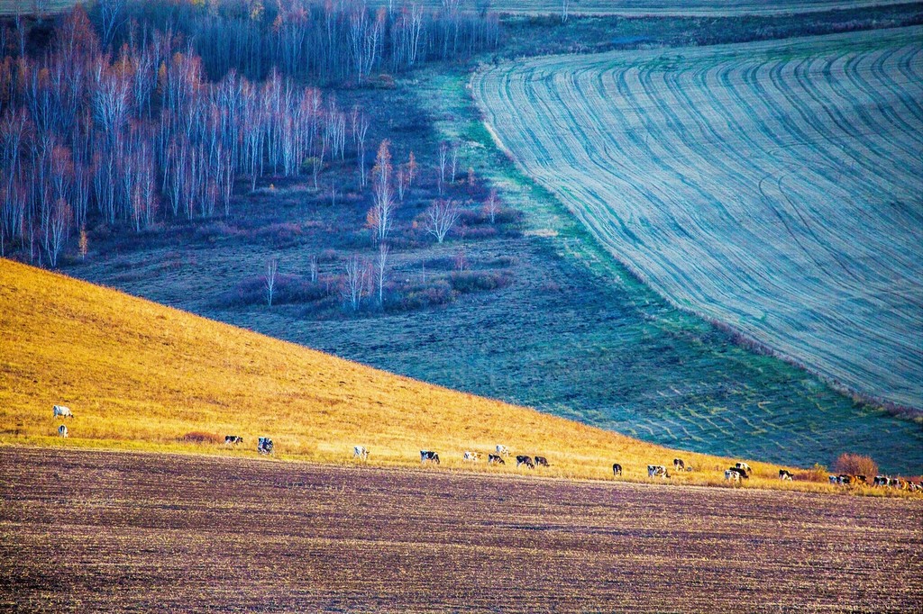 晚秋的草原美景,呼伦贝尔草原晚秋美景