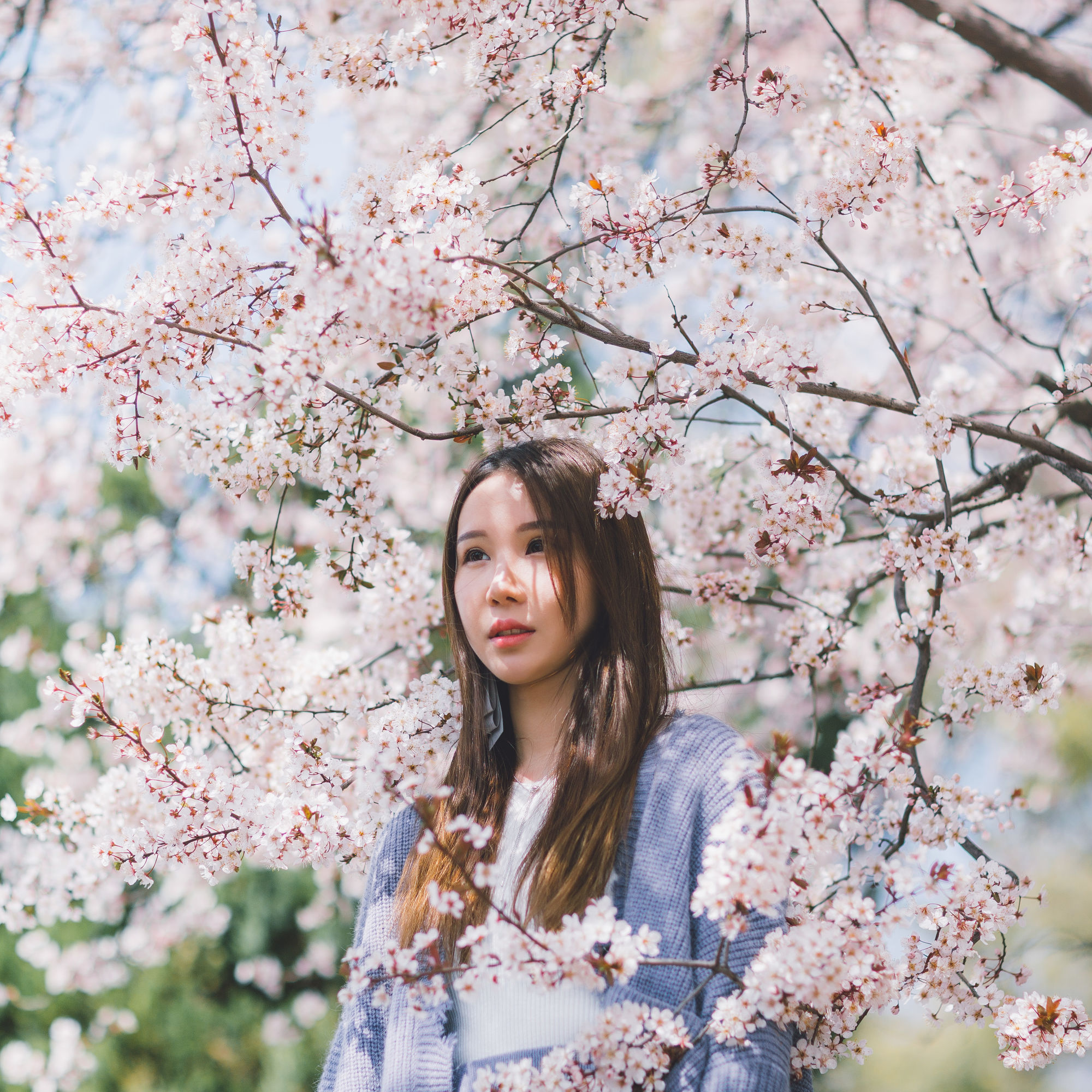 日本旅行攻略自由行,日本自由行视频攻略