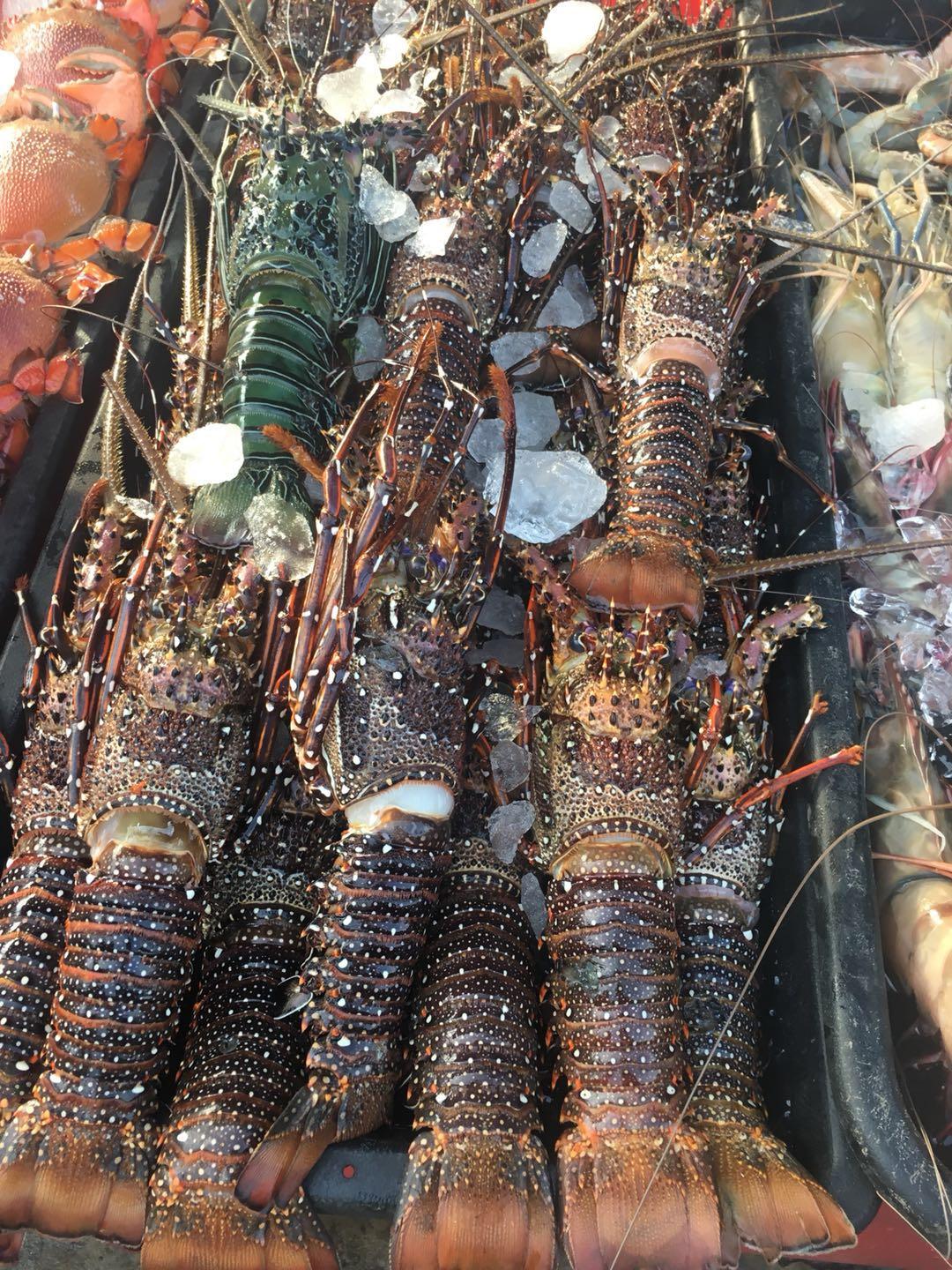在马来西亚的中国女人,去马来西亚旅游的女孩
