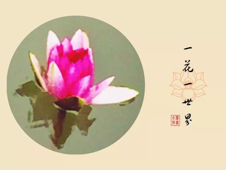 手机摄影作品也可以美不胜收,秋天手机摄影作品欣赏