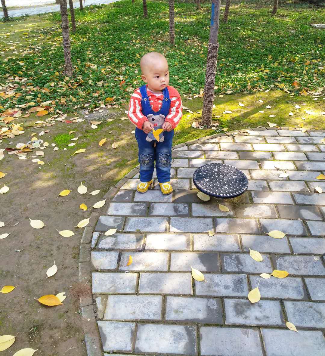 手机摄影作品赏析,手机摄影作品也可以美不胜收