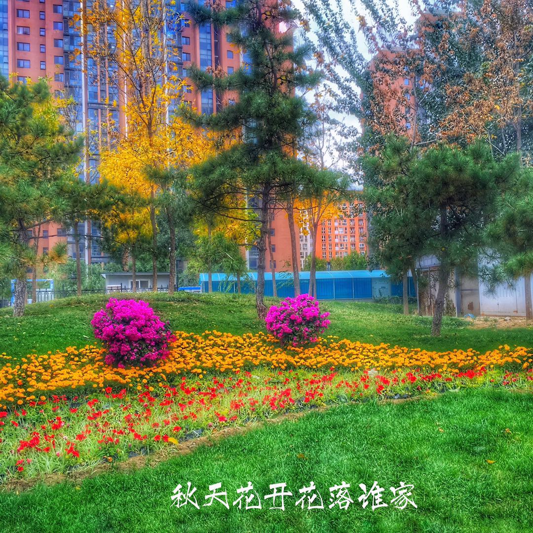 手机摄影作品也可以美不胜收,秋天手机摄影作品欣赏