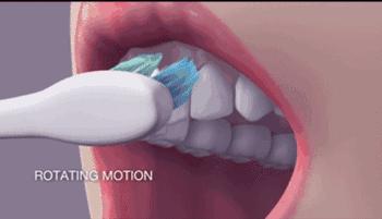 世界公认正确刷牙视频,世界公认最好的刷牙法