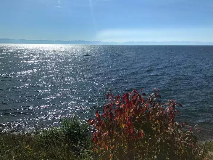 坐火车穿越俄罗斯西伯利亚,欧洲火车途经小镇