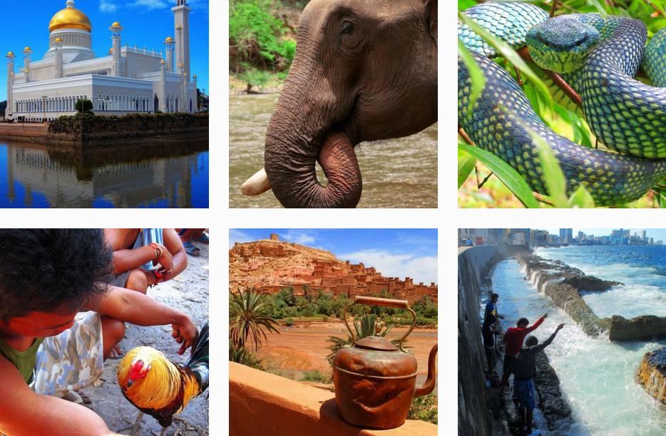 困扰他几十年的哮喘和过敏杂症，在他纯素饮食后彻底消失！