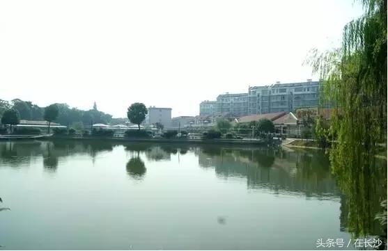 农家乐游玩向往的生活,向往的生活杭州余杭农家乐