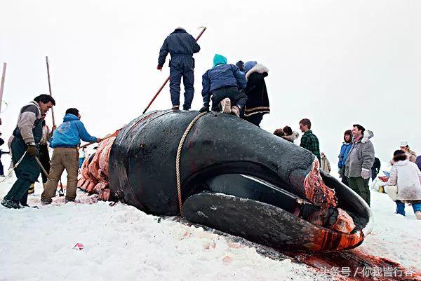 如何在暴风雪中生存,下雪天挡雪的方法