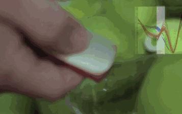 食物卡路里表大全减肥,减肥各种食物卡路里表