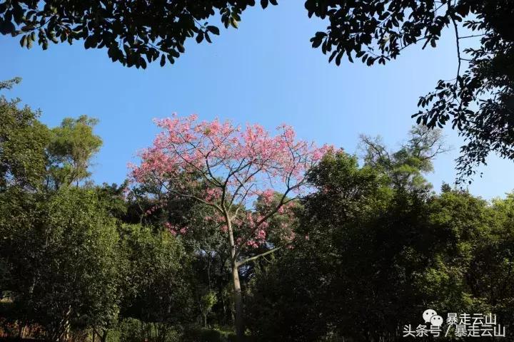 下雨天搞笑动作,下雨天搞笑操作