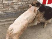 下雨天搞笑动作,下雨天搞笑操作