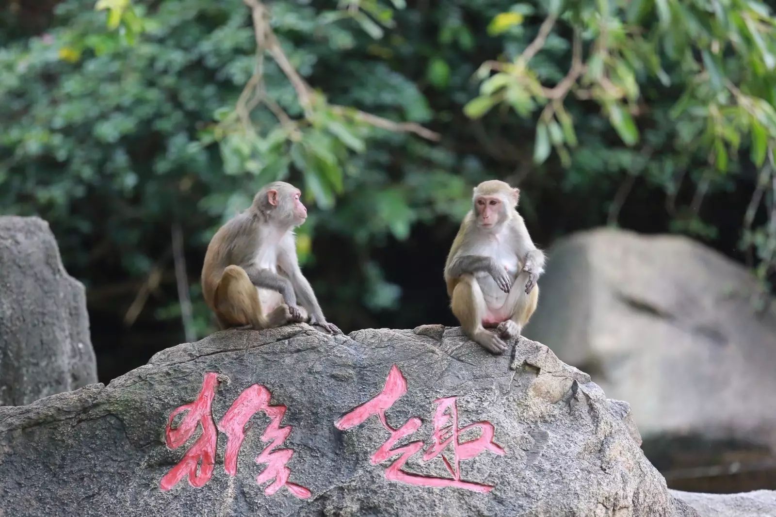 陵水一日游必去的景点,陵水一日游自由行