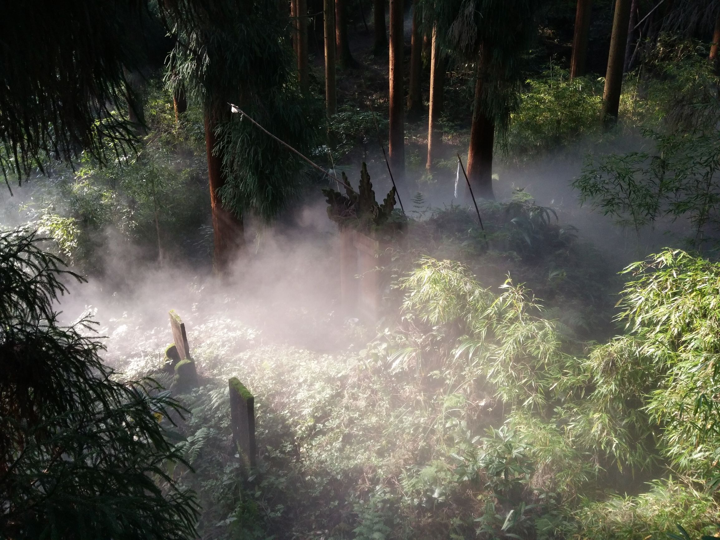 峨眉半山七里坪吃什么,峨眉半山七里坪怎样