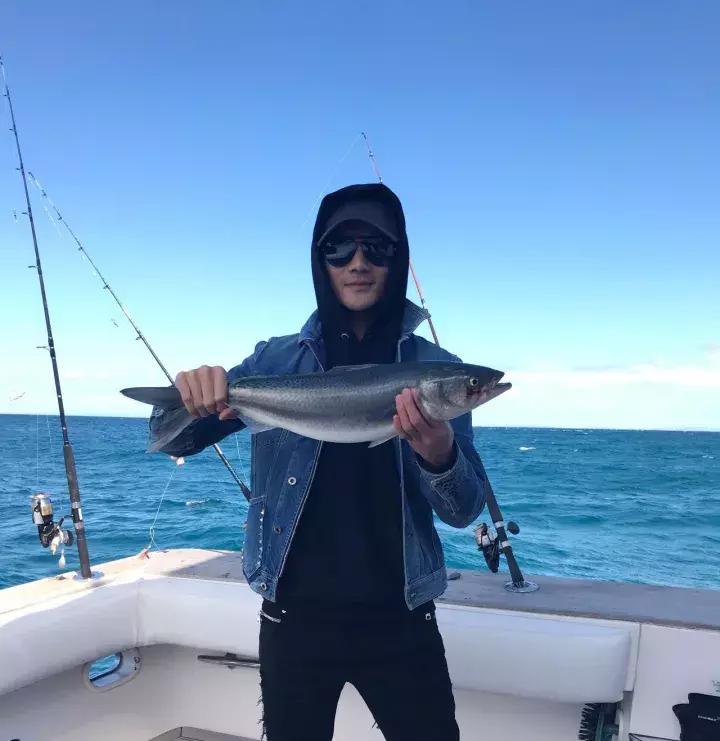 王凯、韩庚、邓紫棋、谢霆锋……明星最近为什么都去新西兰？