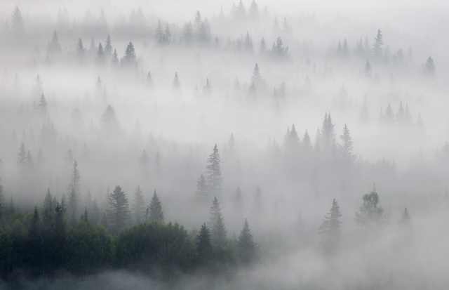 历史上窦娥真的存在吗？“六月飞霜”是因为天大的冤情才出现的？