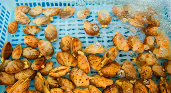 偶遇阳光、海滩在三亚