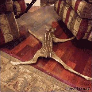 澶ц劯鐚殑鐑︽伡,澶ц劯鐚殑鐑︽伡瑙h