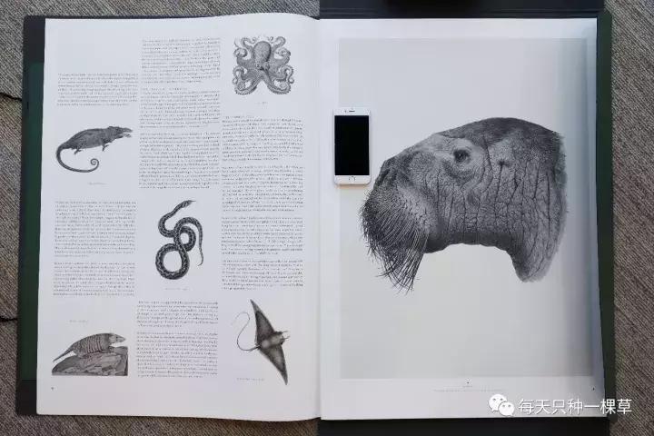 双十一你买什么最划算,双十一你们都买啥推荐一下