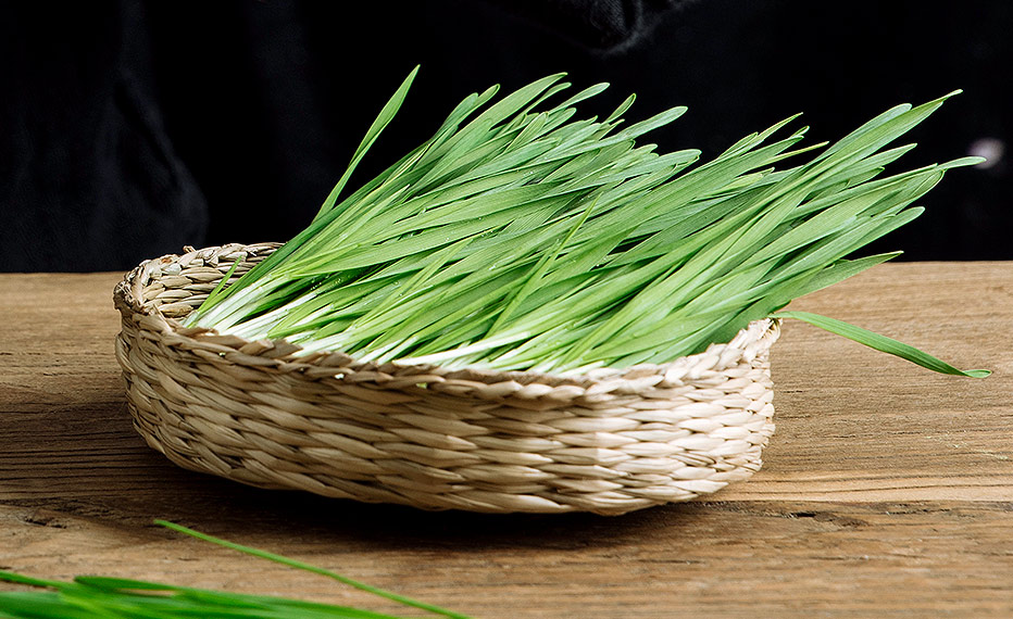 青汁怎么选择,青汁通常买哪一款