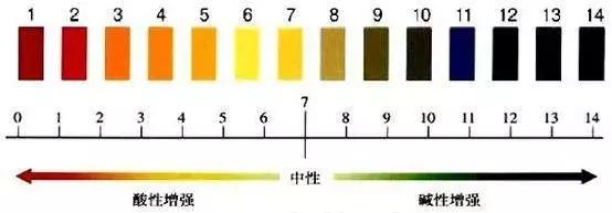 钟丽缇喝苏打水求子，你想生男还是生女？