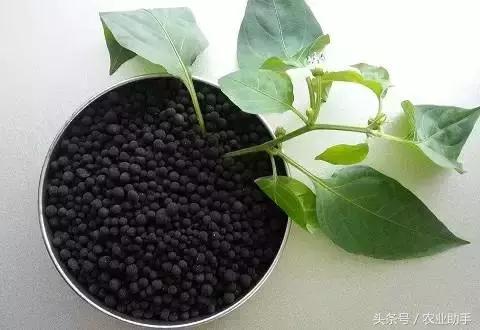 深度解析有机食品,深度解析腐植酸