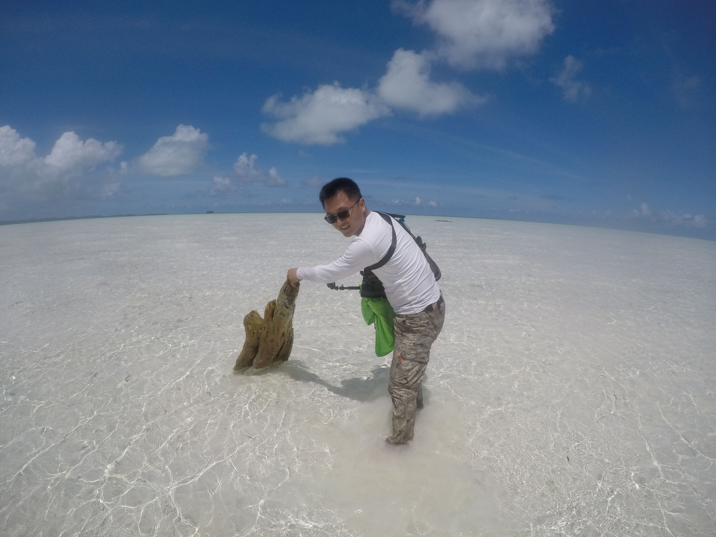 中国护照落地签或者免签的国家,中国免签和落地签国家数量2024