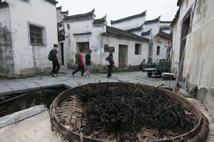 西递附近最著名的景点,西递村美丽的风景