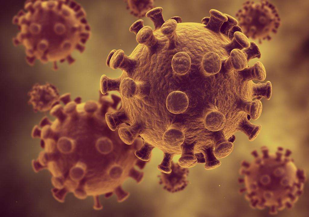 贴身衣物细菌,衣物上的细菌要多少度才能去除