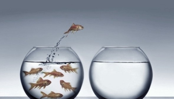 大部分引流脚本一点效果都没,最新引流脚本实操