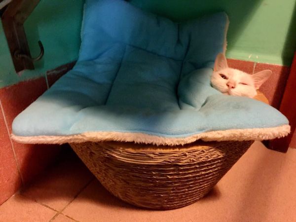 深圳有十几栋房子的90后女房东,90后女孩深圳租房