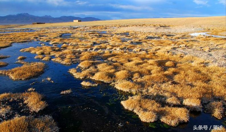 一个人的羌塘,一个人的羌塘无人区
