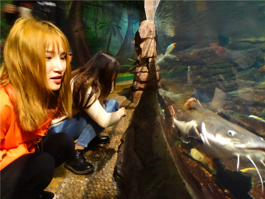 台州一日游的绝佳去处,台州旅游小众秘境