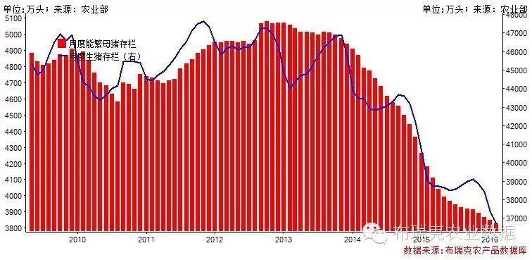 2016年4月28日猪价,2016年猪价行情走势图