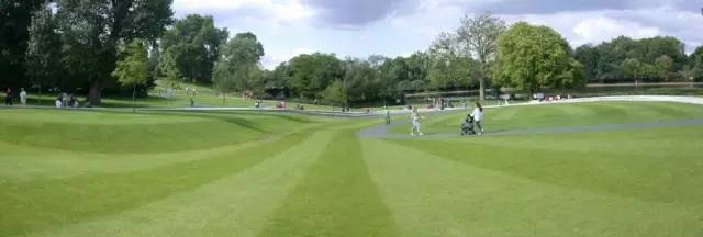 靠谱的景观草坪,露台人工景观草坪