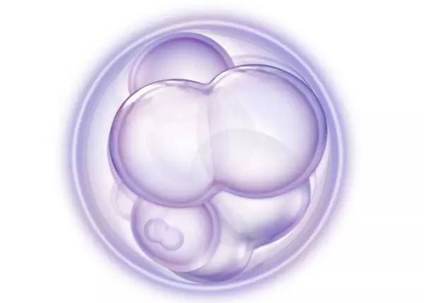 干细胞市场运营方案,干细胞技术及行业分析