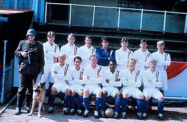 世界杯来看球,世界杯来一场足球盛宴