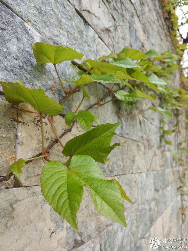 小米5测评视频,小米5使用体验感受如何