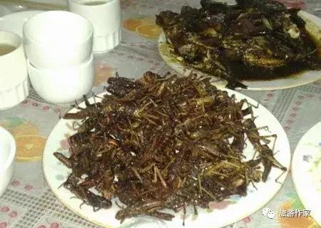 云南昆明可以吃的虫子,云南大虫子美食