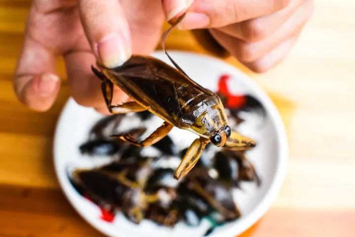 番禺区钟村南站,番禺钟村站