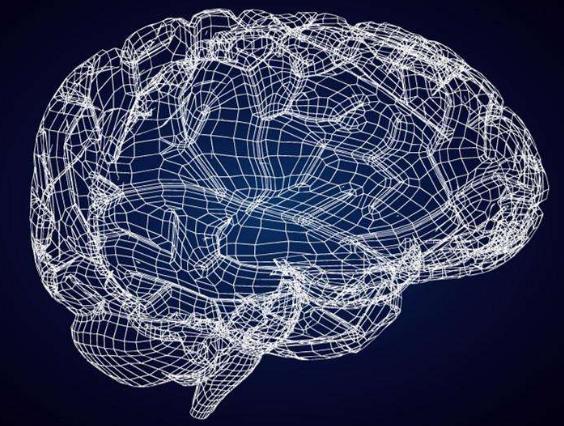 爱因斯坦大脑和平常人大脑对比,爱因斯坦大脑与众不同的奥秘所在