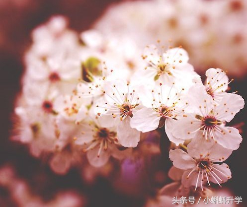 「地理」2017高中地理学业水平测试知识点总结