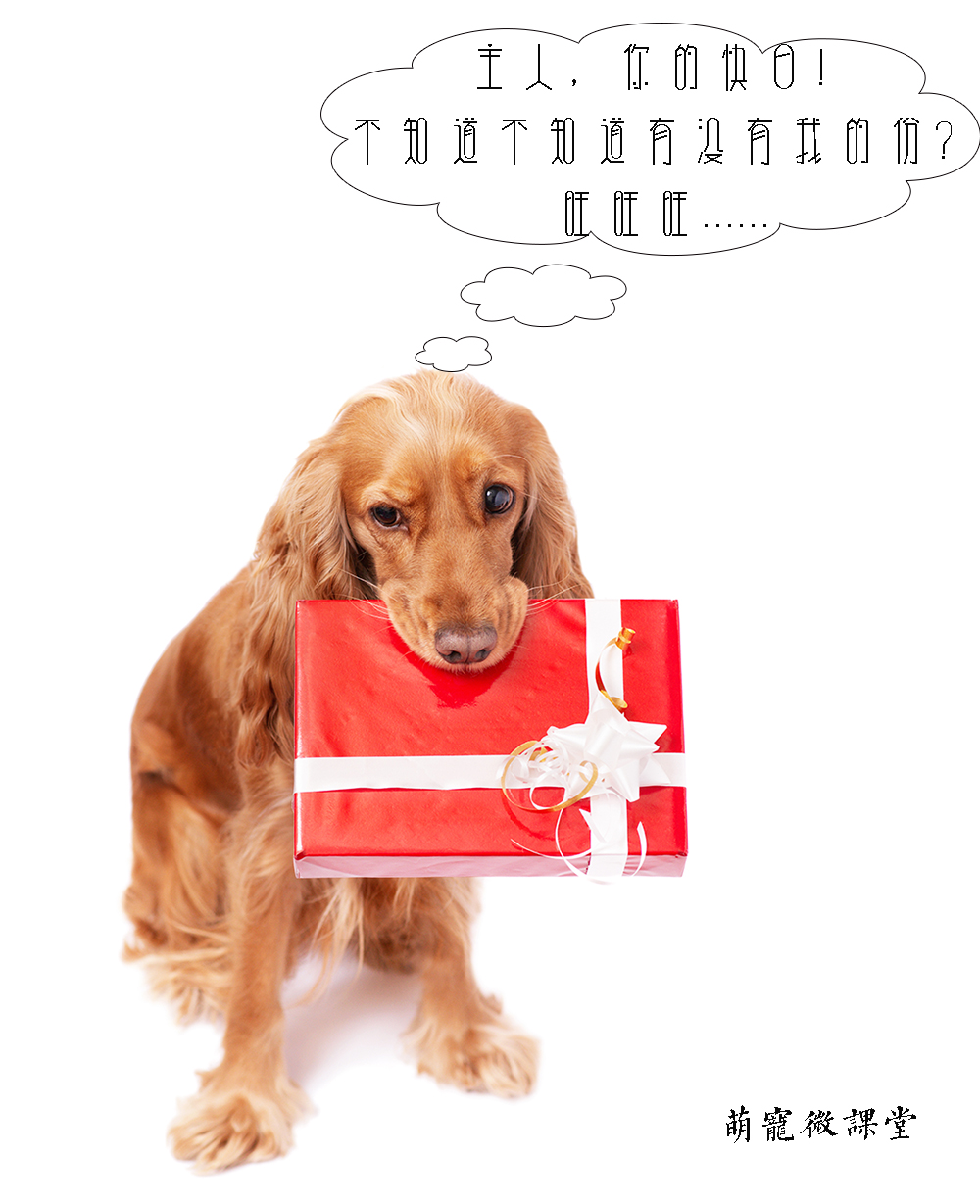 宠物冷知识巴哥犬,宠物冷知识英文版